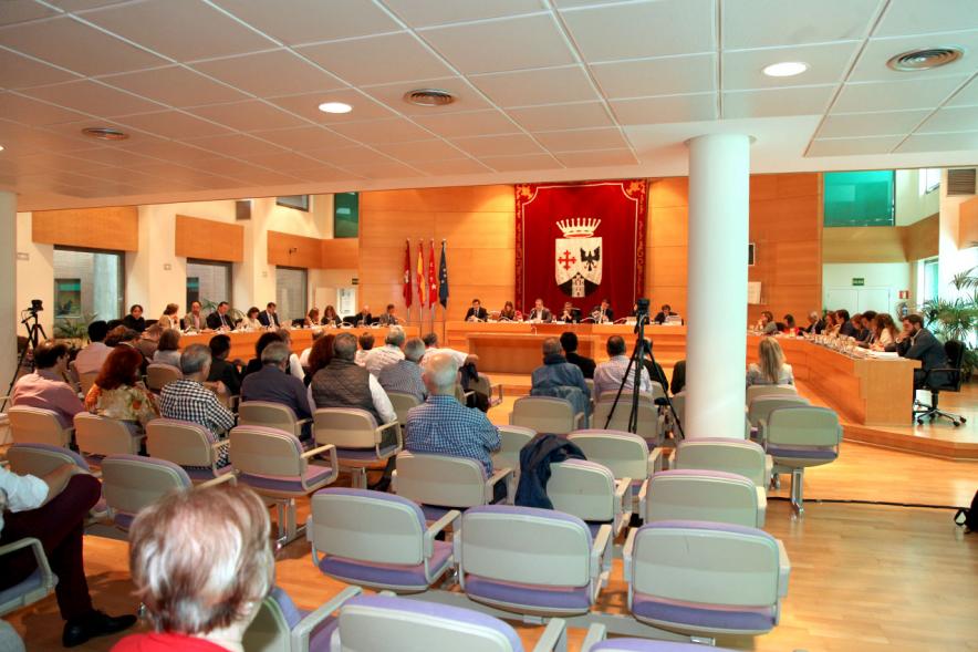 Sesión plenaria vista desde el fondo del salón de plenos