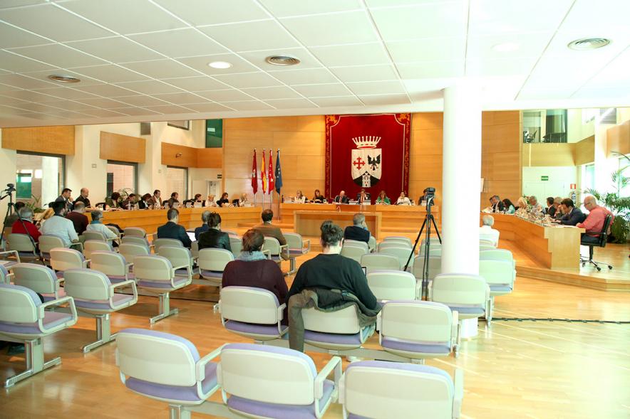 Sesión plenaria vista desde el fondo del salón de plenos