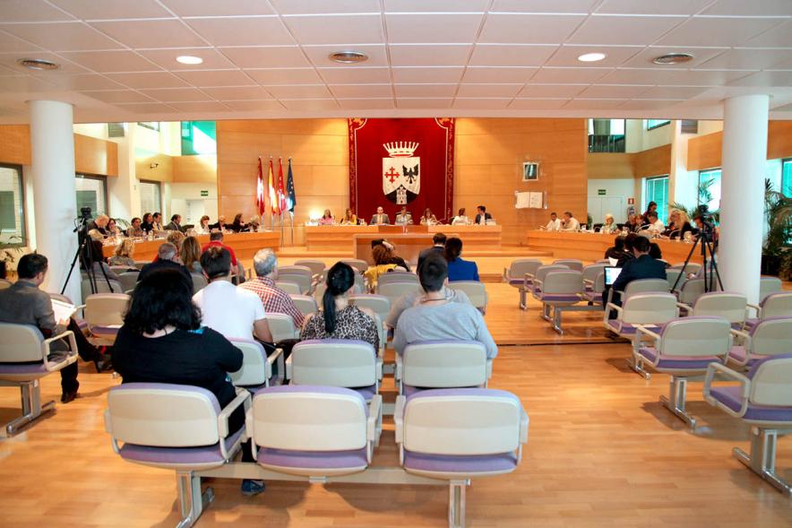 Sesión plenaria vista desde el fondo del salón de plenos