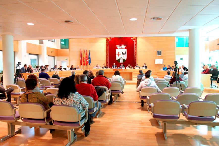 Sesión plenaria vista desde el fondo del salón de plenos