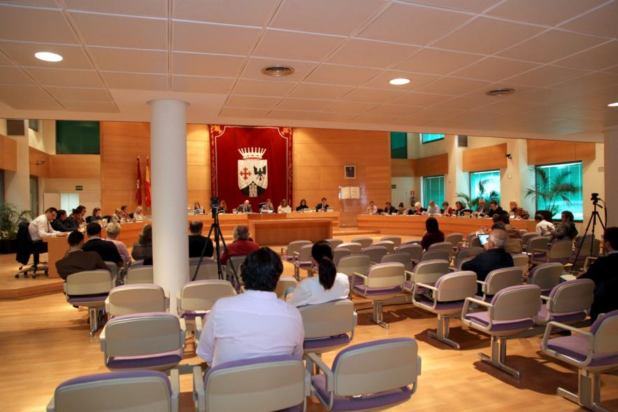 Sesión plenaria vista desde el fondo del salón de plenos