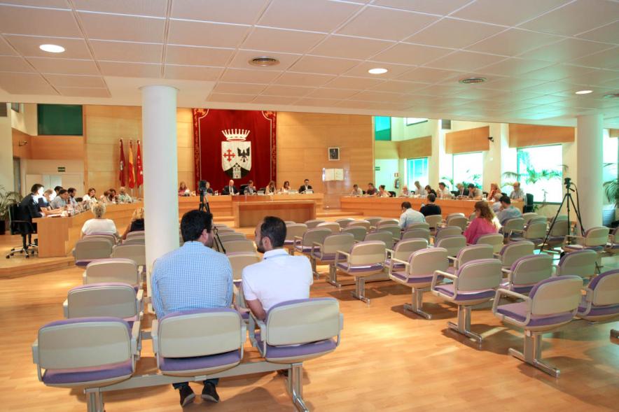 Sesión plenaria vista desde el fondo del salón de plenos