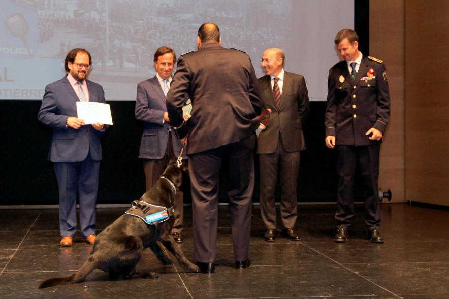 Homenaje a la Policía Local - Día de San Juan 2018 - Posado de las autoridades municipales, los  mandos y los homenajeados con sus perros.