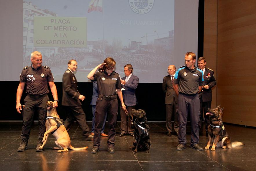 Homenaje a la Policía Local - Día de San Juan 2018 - Plano del escenario con una actuación canina policial.