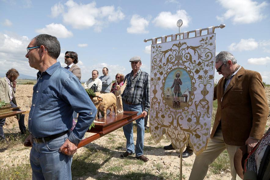 Miembros de la romería llevando  escultura representativa de los bueyes del santo