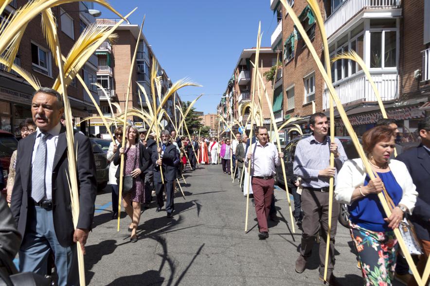 Semana Santa 2017 - Procesión de Domingo de Ramos - Imagen de penitentes con sus palmas en la procesión de Domingo de Ramos.