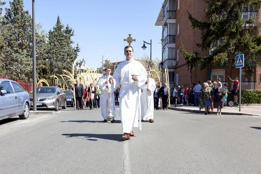 Semana Santa 2017 - Procesión de Domingo de Ramos - Imagen de un momento de la procesión de Domingo de Ramos.