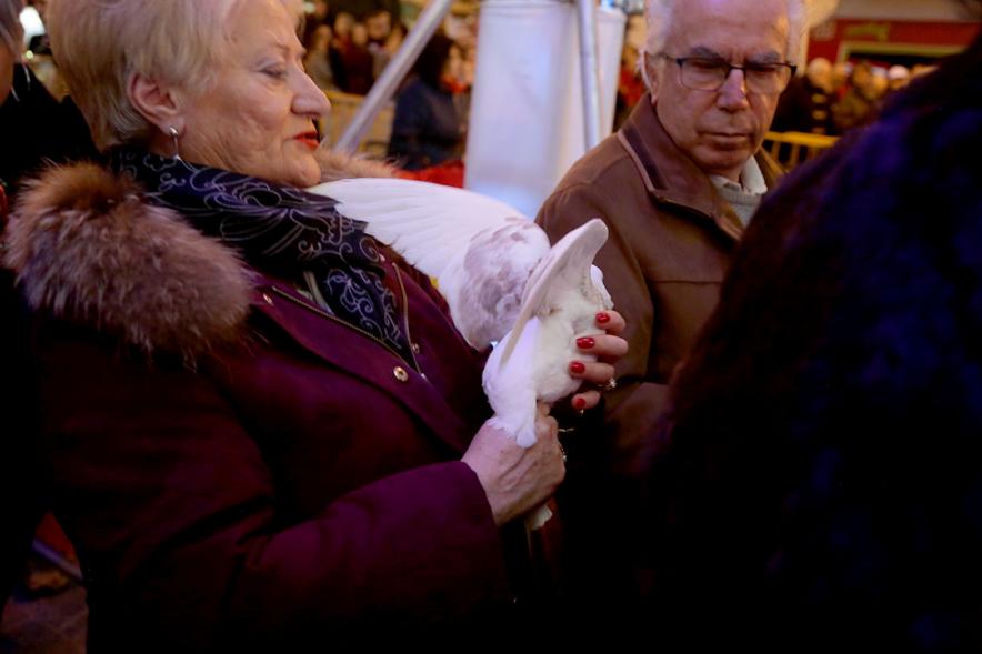 Fiestas Virgen de la Paz 2019 - Procesión Virgen de la Paz - Imagen primer plano de una mujer sujetando en sus manos una paloma.