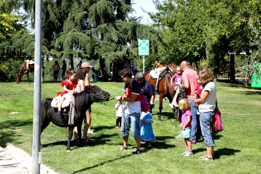 Participantes del evento con ponis