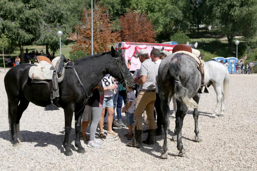 Romería Andaluza e Inauguración del Busto de Luís Infante - Jinetes y sus caballos participantes de la romería.