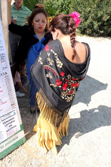 XXIV Romería Andaluza - Imagen mujer de espalda vestida con traje típico andaluz.