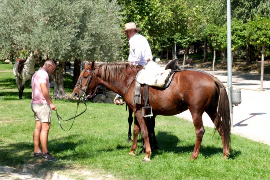XXIV Romería Andaluza - Imagen de un hombre montado a caballo.