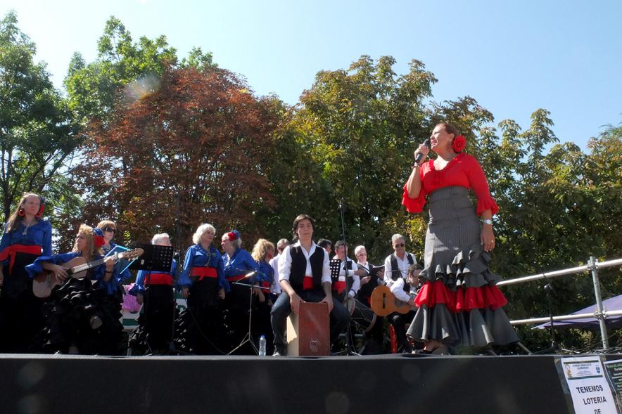 XXIV Romería Andaluza - Imagen del escenario donde esta actuando una cantante.