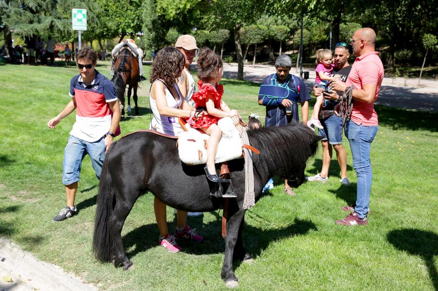 Participantes en el evento con ponis