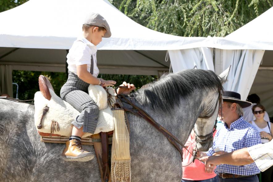 Romería Andaluza e Inauguración del Busto de Luís Infante -Niño montando a caballo.