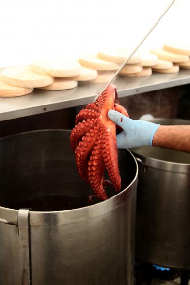 Semana Cultural Xuntanza de Galegos - Inauguración de la Romeria del Pulpo y el Mejillón - Imagen de persona cociendo el pulpo.