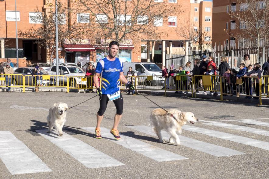 San Silvestre 2016 -  Un participante con dos perros.