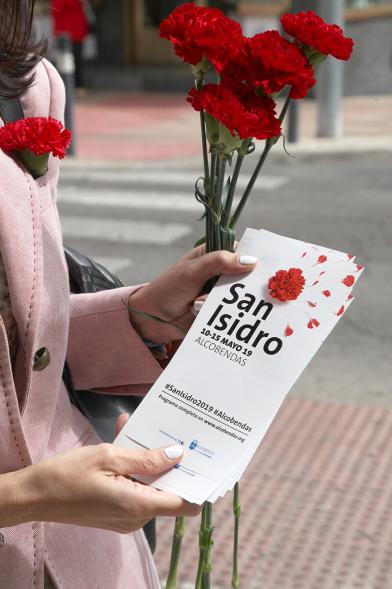 Detalle folleto y clavel