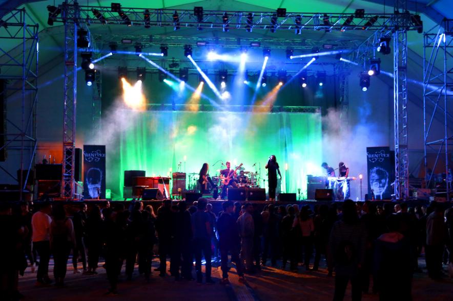 Artistas durante la actuación