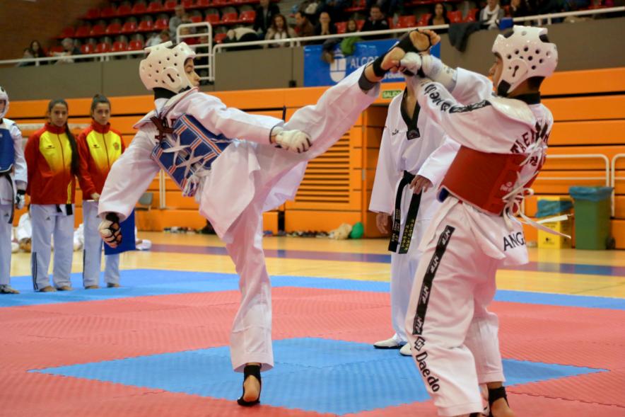 Exhibición Internacional de Taekwondo - Imagen de dos taekwondistas durante la exhibición.