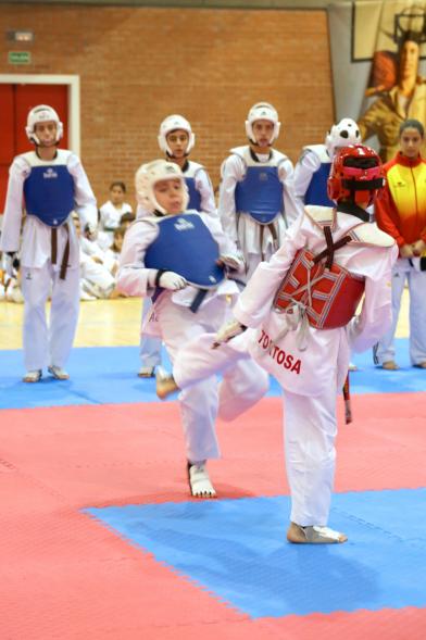 Exhibición Internacional de Taekwondo - Imagen de dos taekwondistas durante la exhibición.