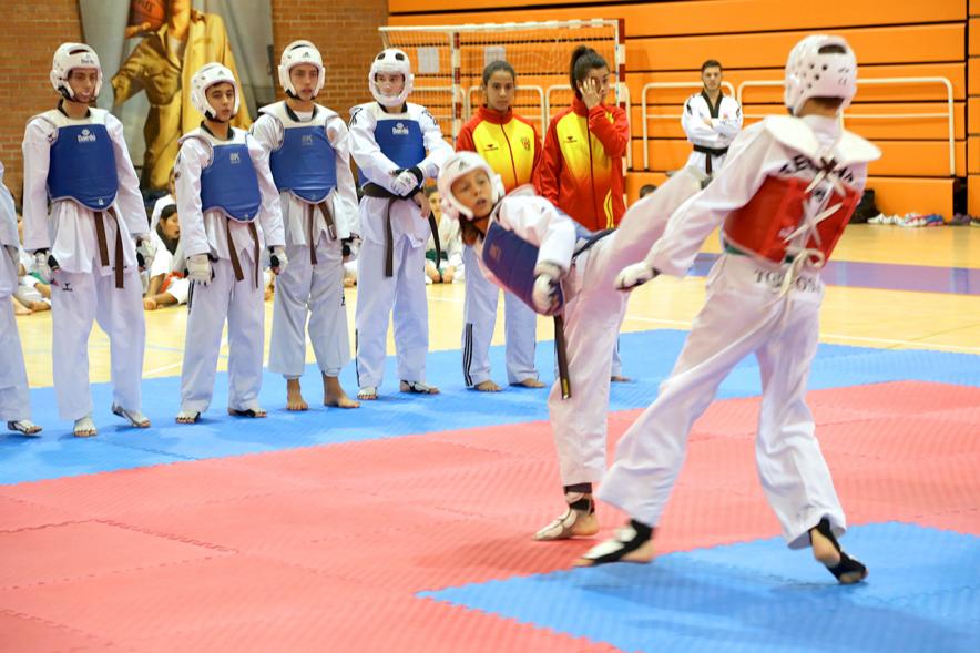 Exhibición Internacional de Taekwondo - Imagen de dos taekwondistas durante la exhibición.
