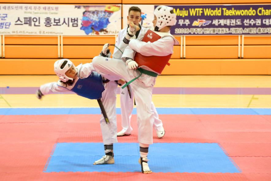 Exhibición Internacional de Taekwondo - Imagen de dos taekwondistas durante la exhibición.