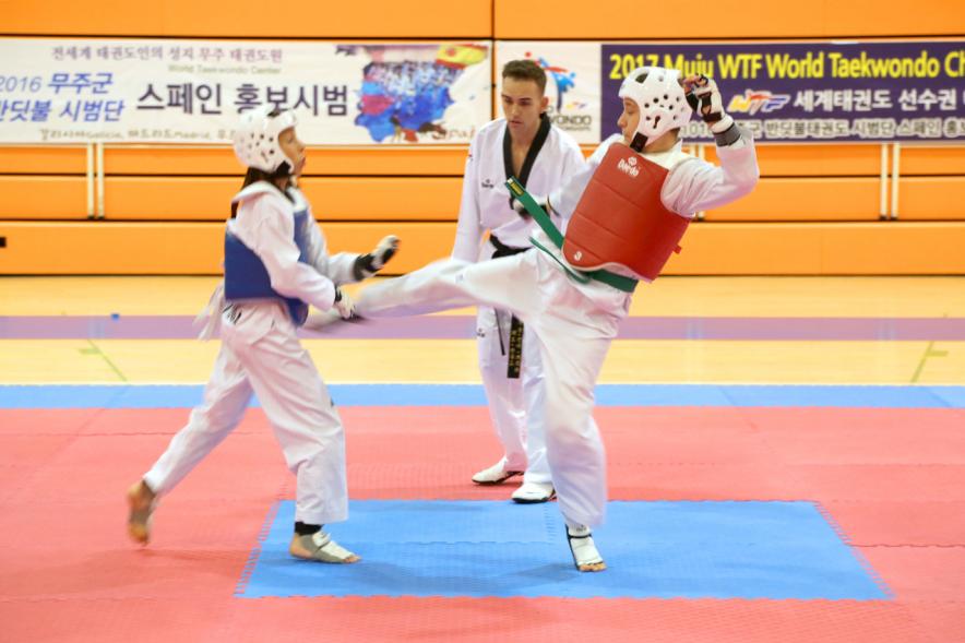 Exhibición Internacional de Taekwondo - Imagen de dos taekwondistas durante la exhibición.