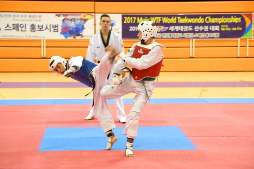 Exhibición Internacional de Taekwondo - Imagen de dos taekwondistas durante la exhibición.