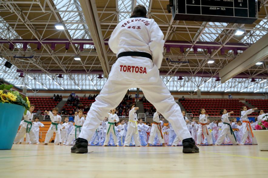 Exhibición Internacional de Taekwondo - Imagen de taekwondistas durante la exhibición.