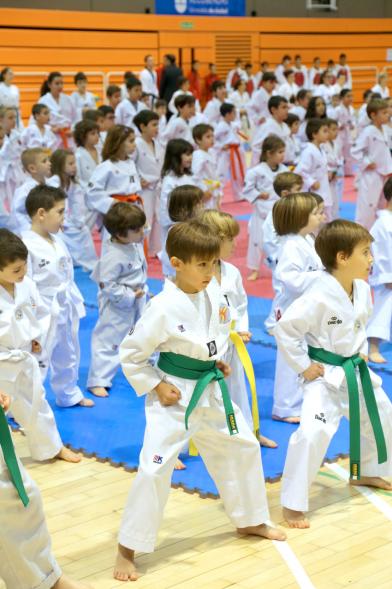 Exhibición Internacional de Taekwondo - Imagen de taekwondistas infantiles durante la exhibición.