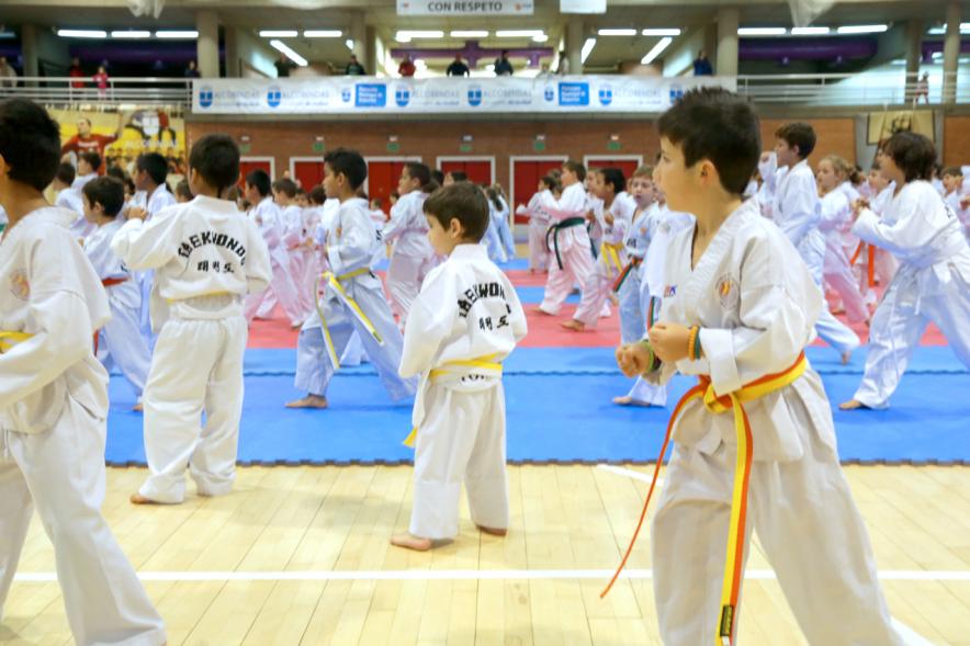 Exhibición Internacional de Taekwondo - Imagen de taekwondistas infantiles durante la exhibición.