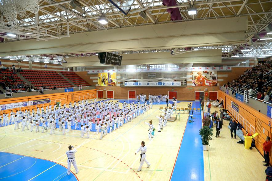 Exhibición Internacional de Taekwondo - Imagen general  de los taekwondistas durante la exhibición.