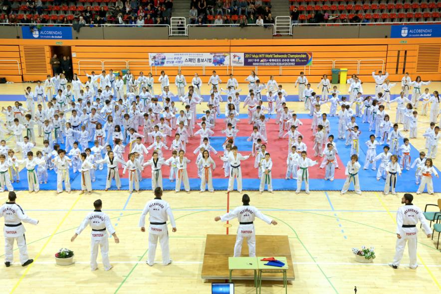 Exhibición Internacional de Taekwondo - Imagen general  de los taekwondistas durante la exhibición.