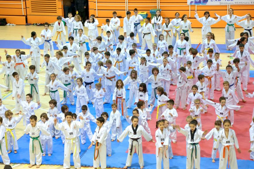 Exhibición Internacional de Taekwondo - Imagen general  de los taekwondistas durante la exhibición.