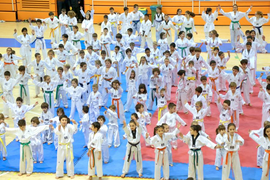 Exhibición Internacional de Taekwondo - Imagen general  de los taekwondistas durante la exhibición.