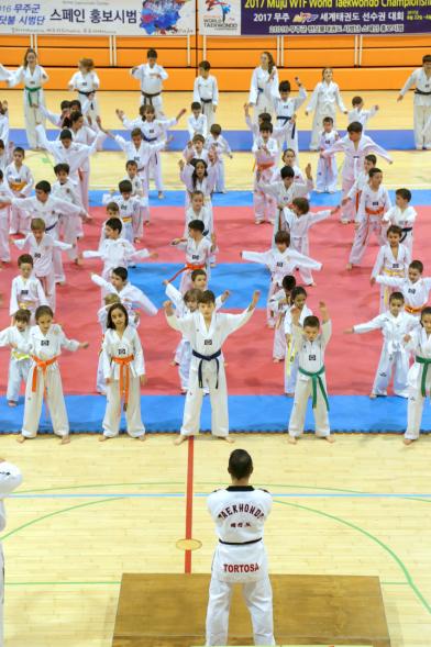 Exhibición Internacional de Taekwondo - Imagen general  de los taekwondistas durante la exhibición.