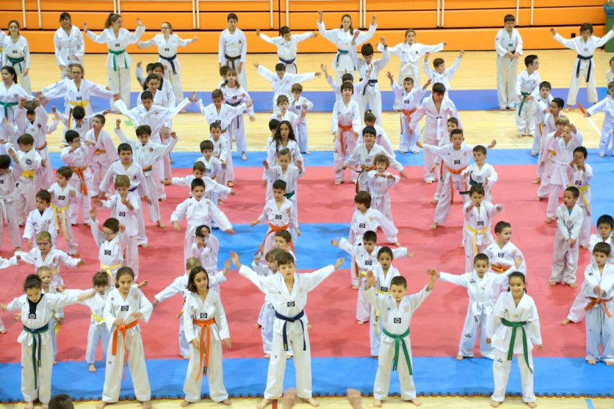 Exhibición Internacional de Taekwondo - Imagen general  de los taekwondistas durante la exhibición.