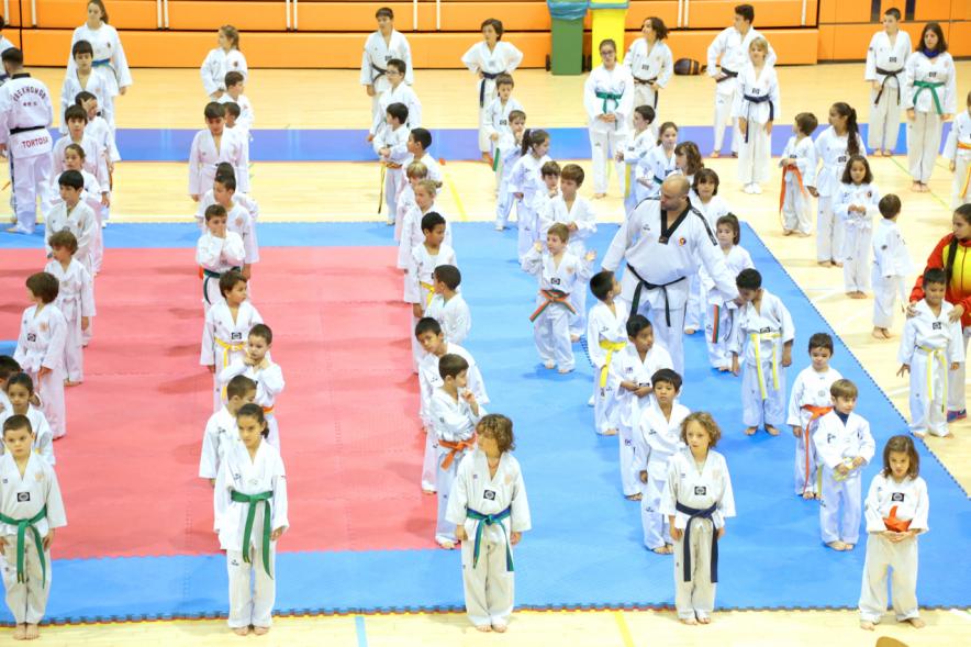 Exhibición Internacional de Taekwondo - Imagen general  de los taekwondistas durante la exhibición.