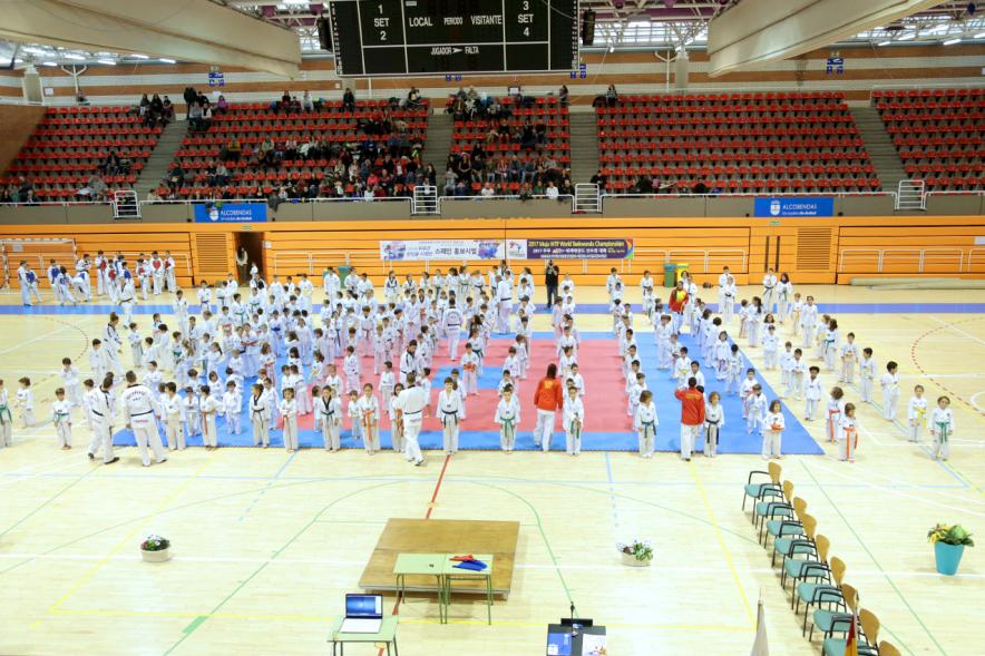 Exhibición Internacional de Taekwondo - Imagen general  de los taekwondistas durante la exhibición.