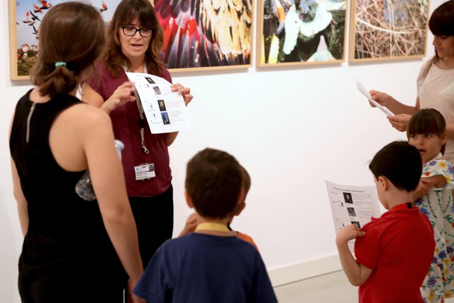 Taller de Fotografía con Niños en el Centro de Arte - Imagen de niños con cámaras de fotos participando en el taller.