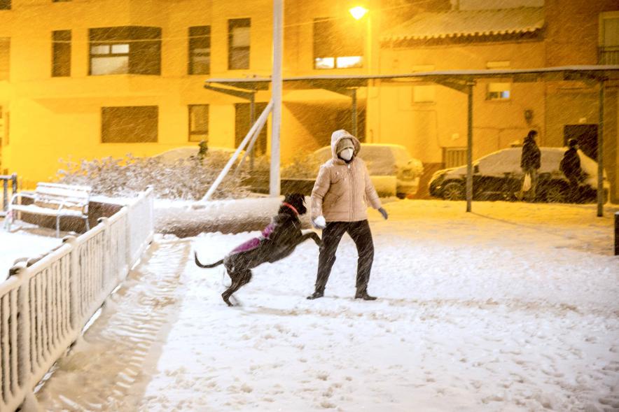Paseando al perro en la nieve