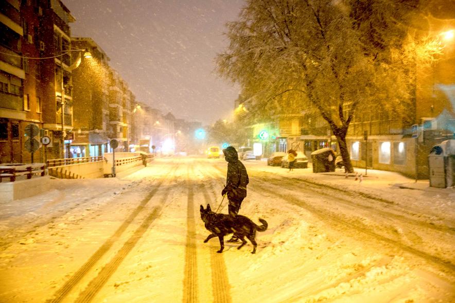 Paseando al perro en la nieve