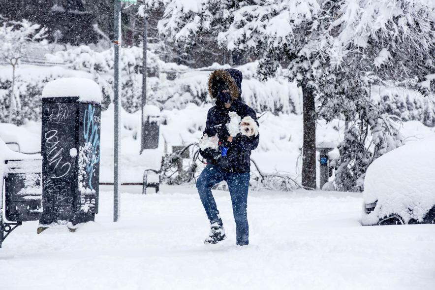 Ciudadano en la nieve con perro en brazos