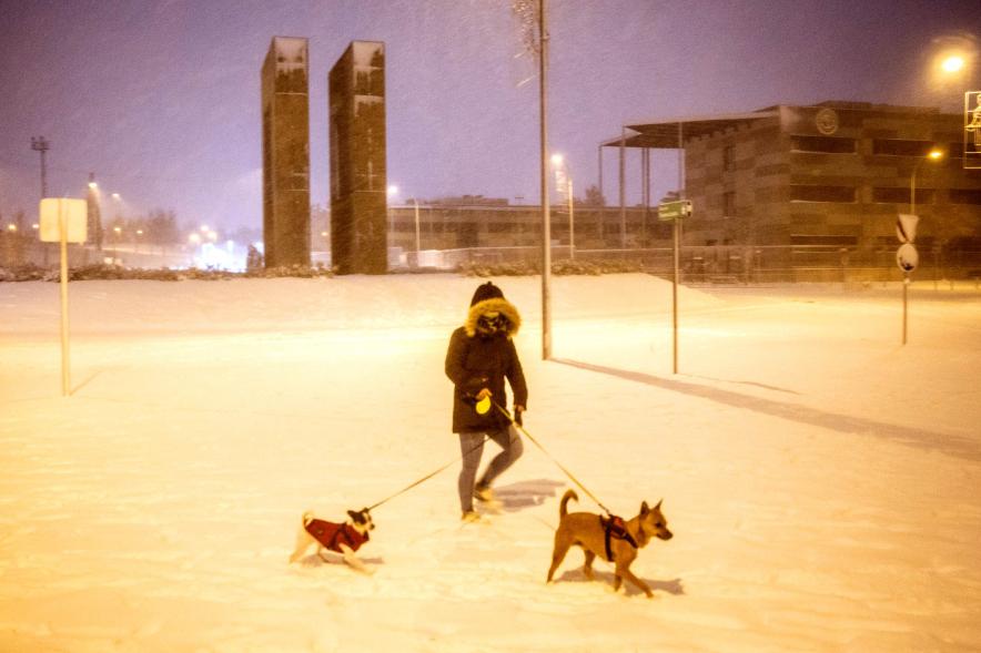 Persona paseando perros en la ciudad nevada