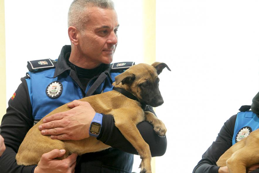 Entrega de Cachorros a Unidad Canina Policia Local de Granada -  Imagen de los policías de Alcobendas con los cachorros en sus brazos.