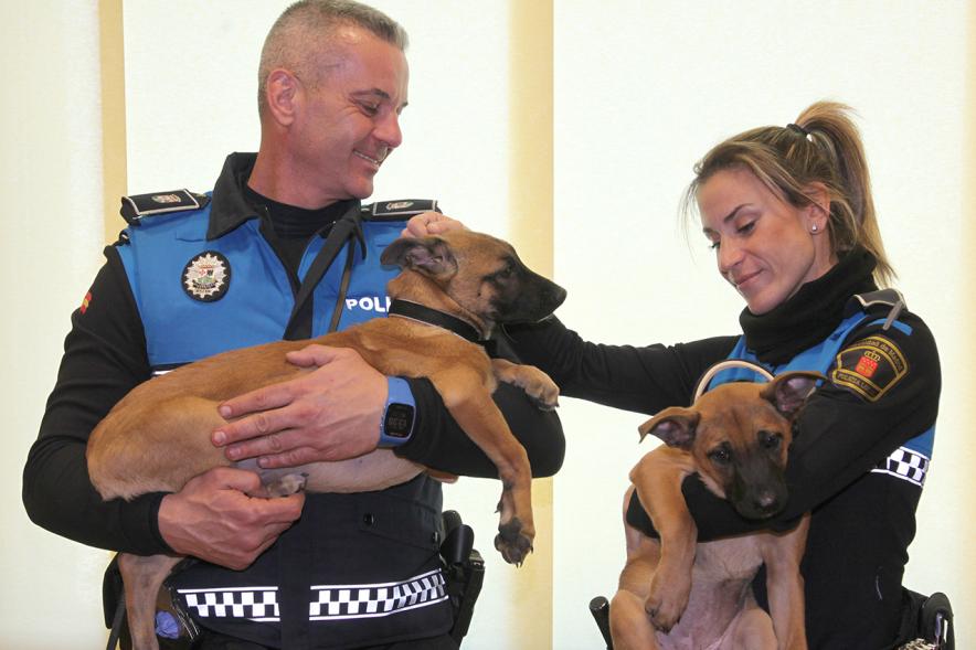 Entrega de Cachorros a Unidad Canina Policia Local de Granada - Imagen de dos policías de Alcobendas con los cachorros en sus brazos.