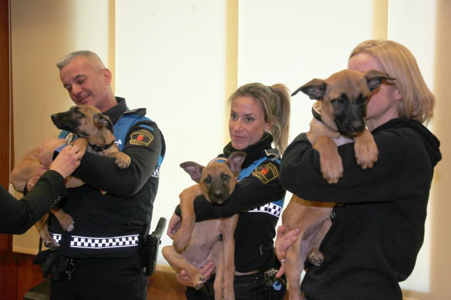 Entrega de Cachorros a Unidad Canina Policia Local de Granada - Imagen de los policías de Alcobendas con los cachorros en sus brazos.