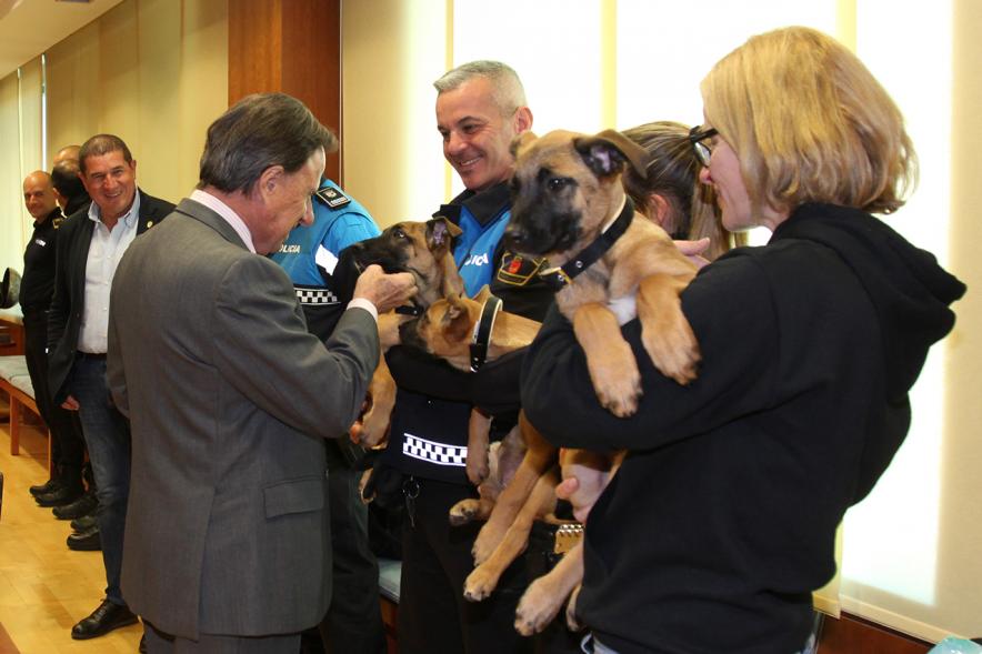 Entrega de Cachorros a Unidad Canina Policia Local de Granada - Imagen del alcalde García de Vinuesa acariciando a los cachorros.