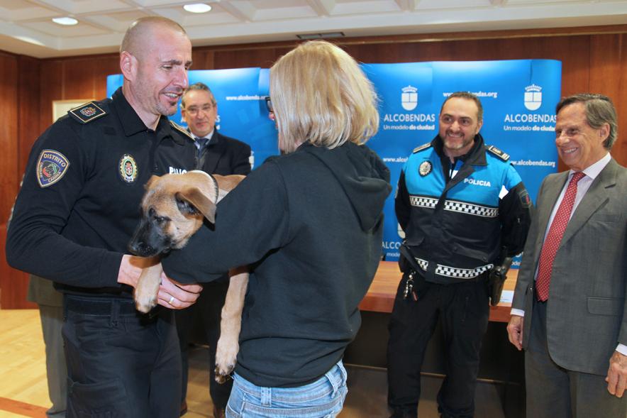 Entrega de Cachorros a Unidad Canina Policia Local de Granada - Imagen de un momento de la entrega de los cachorros por los miembros de la policía de Granada. 